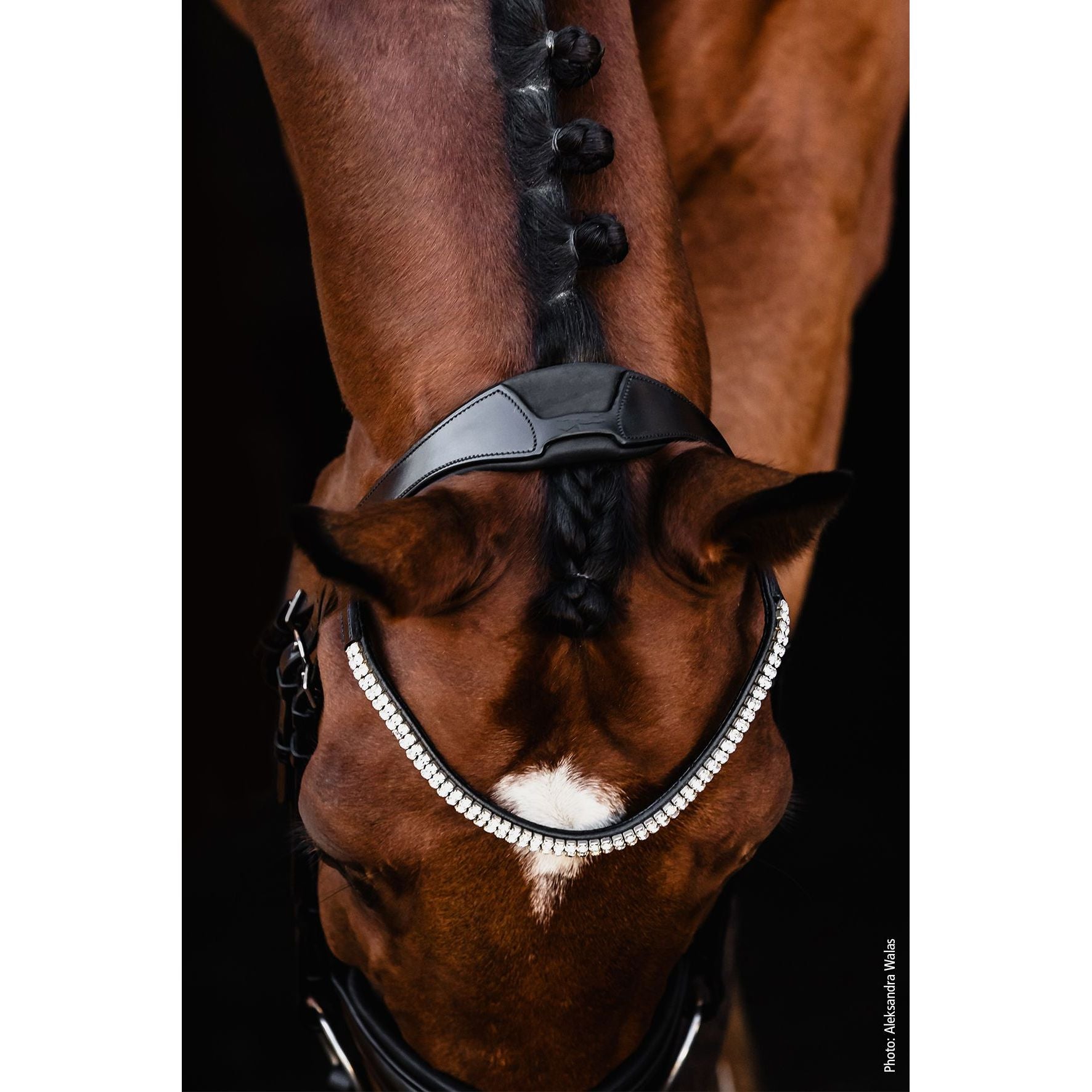 Schockemohle Johnny Snaffle Bridle- due next week