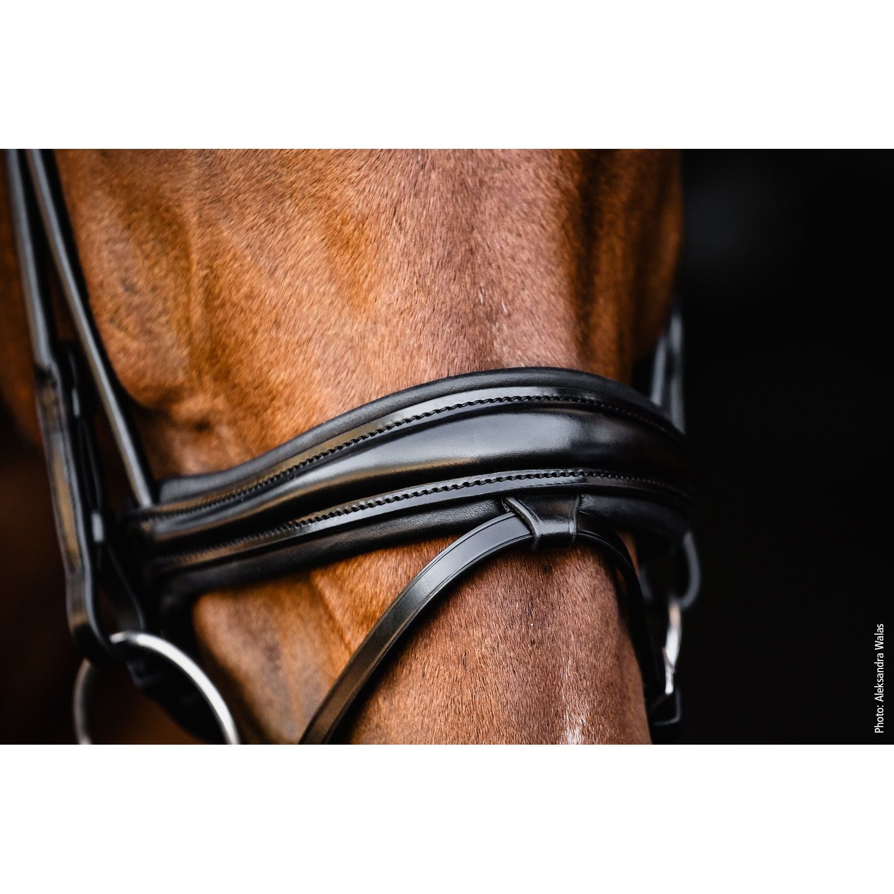 Schockemohle Satchmo Snaffle Bridle- due next week
