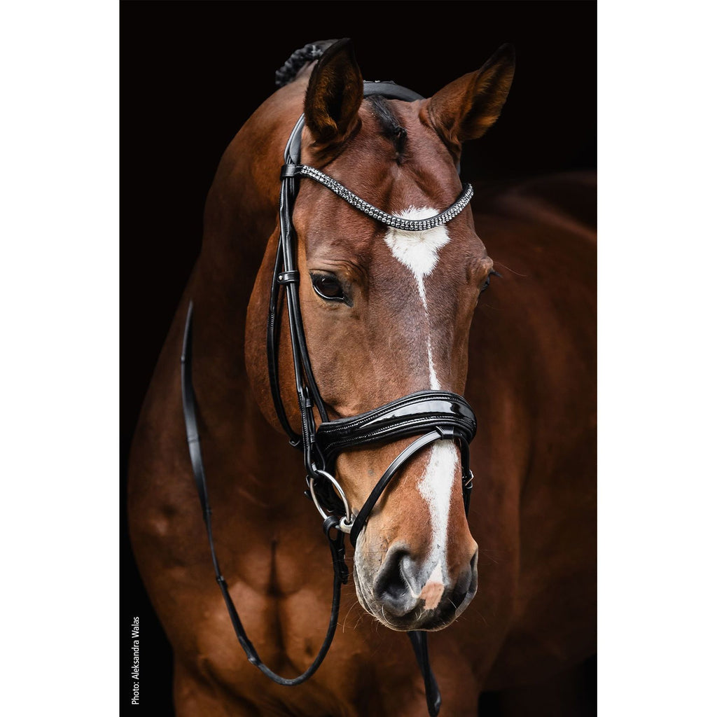 Schockemohle Satchmo Snaffle Bridle- due next week