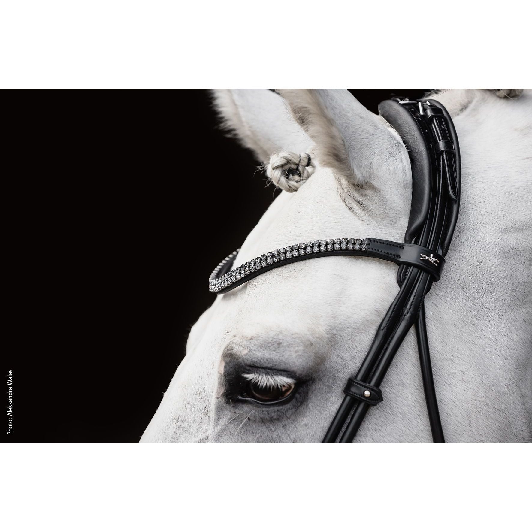 Schockemohle Satchmo Snaffle Bridle- due next week