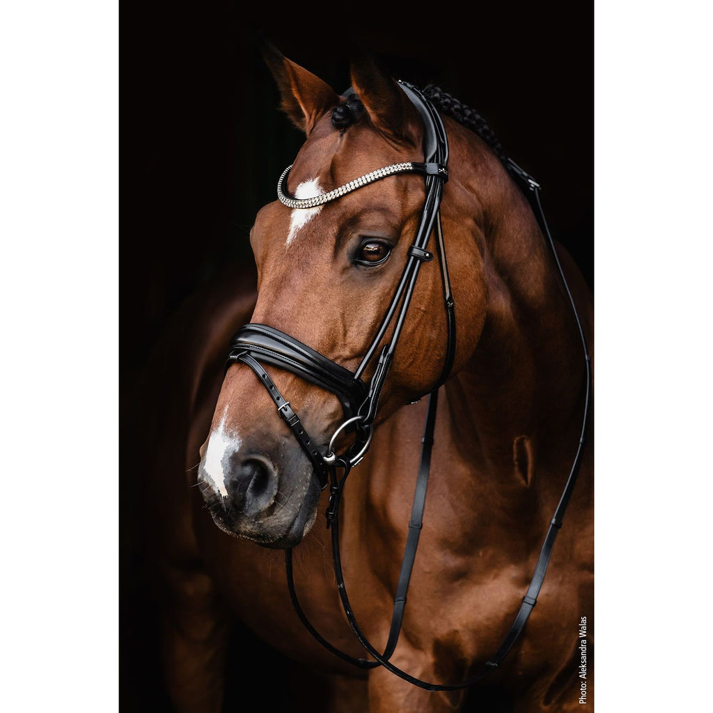 Schockemohle Satchmo Snaffle Bridle- due next week
