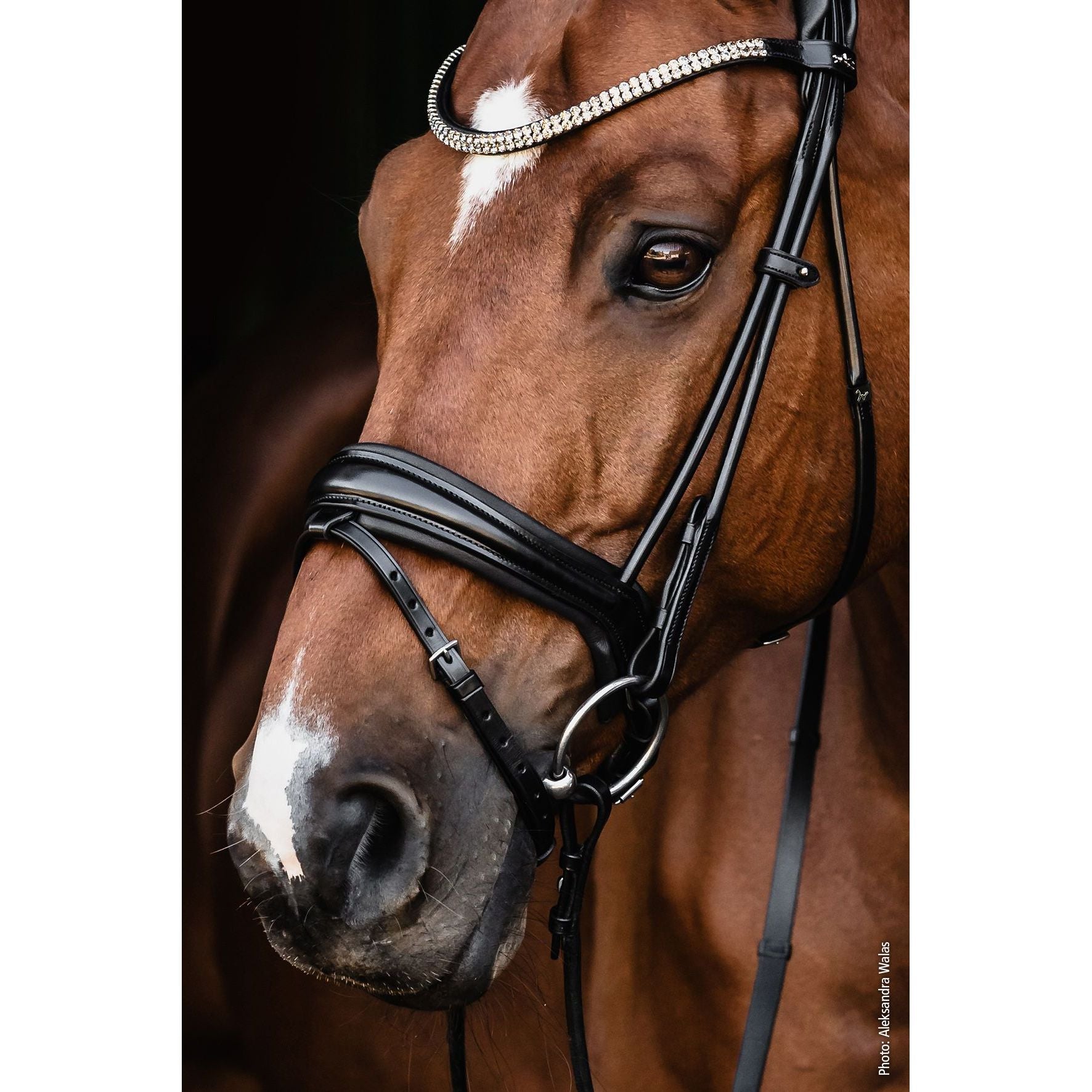 Schockemohle Satchmo Snaffle Bridle- due next week