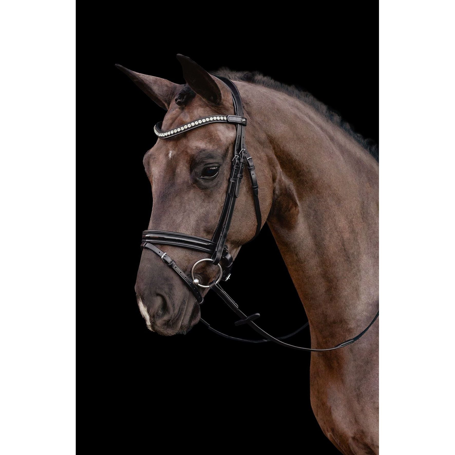 Schockemohle Palermo Patent Snaffle Bridle - on sale!