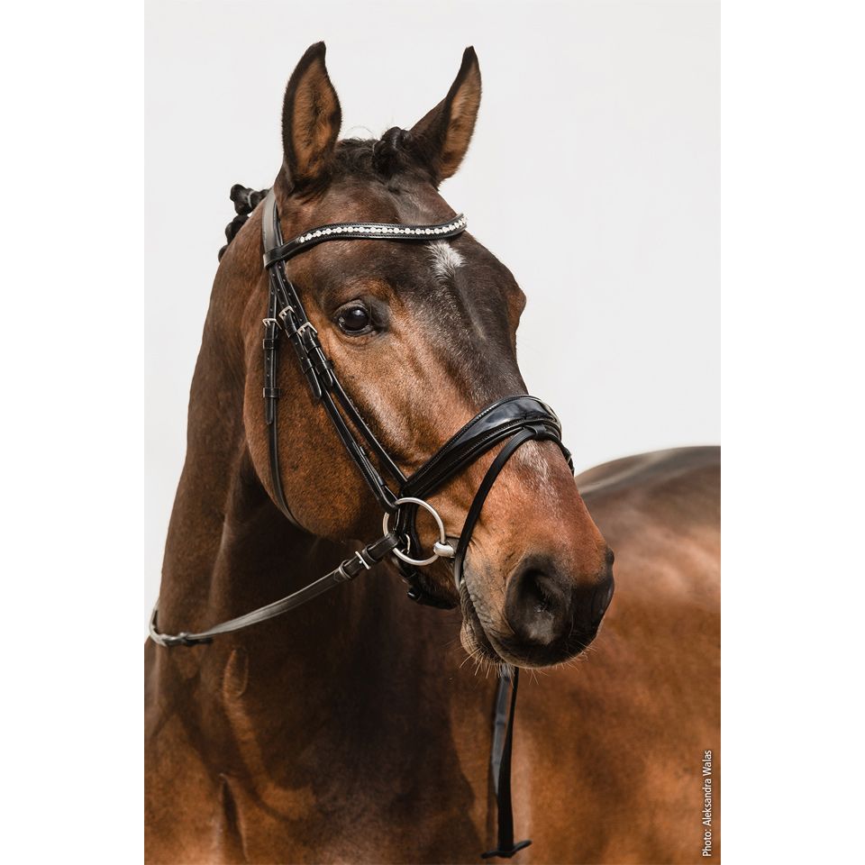 Schockemohle Brantford Snaffle Bridle - on sale!