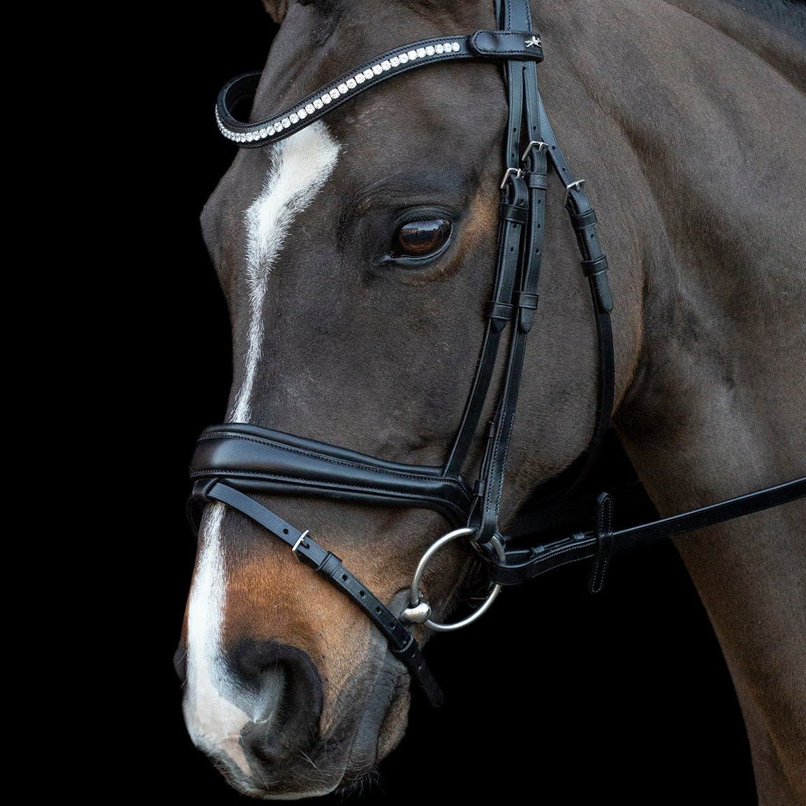 Schockemohle Charleston Bridle