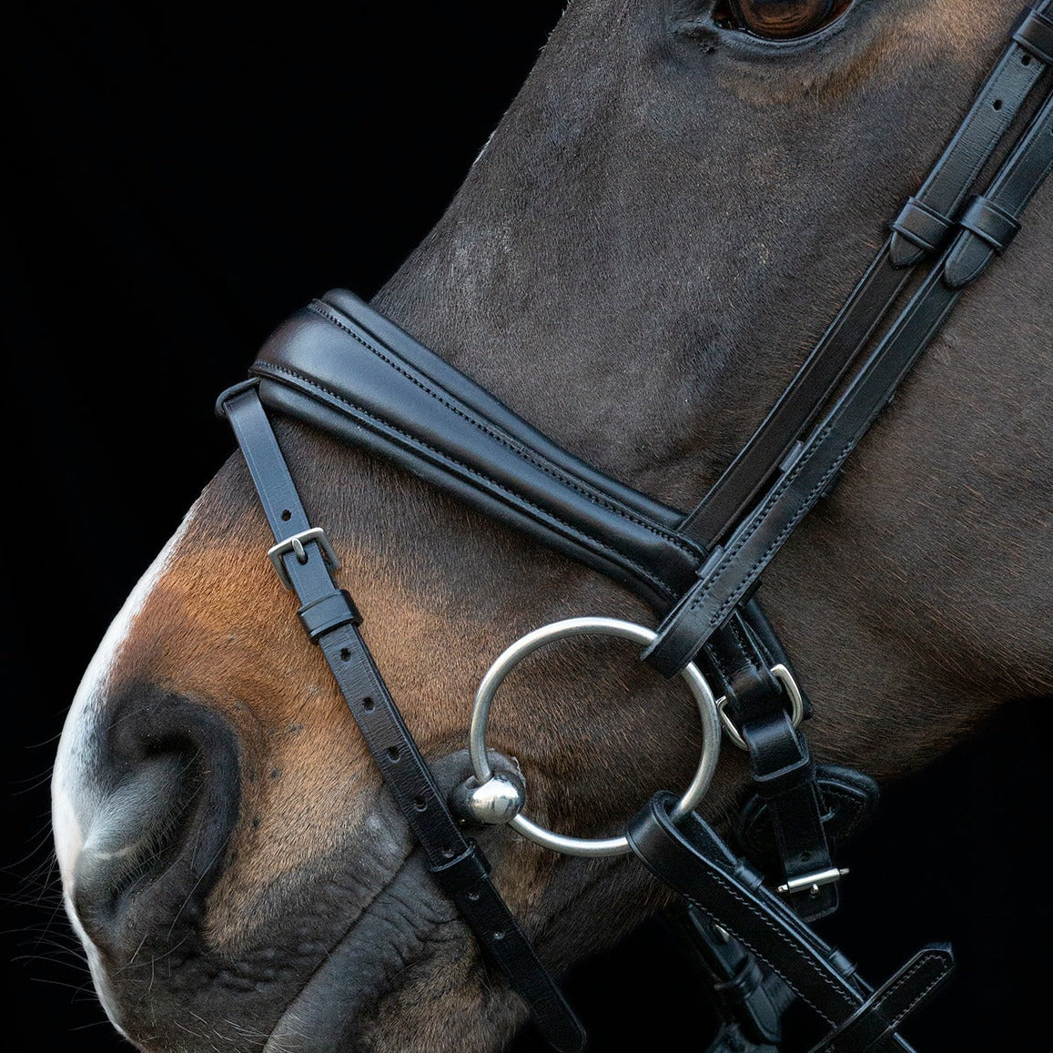 Schockemohle Charleston Bridle