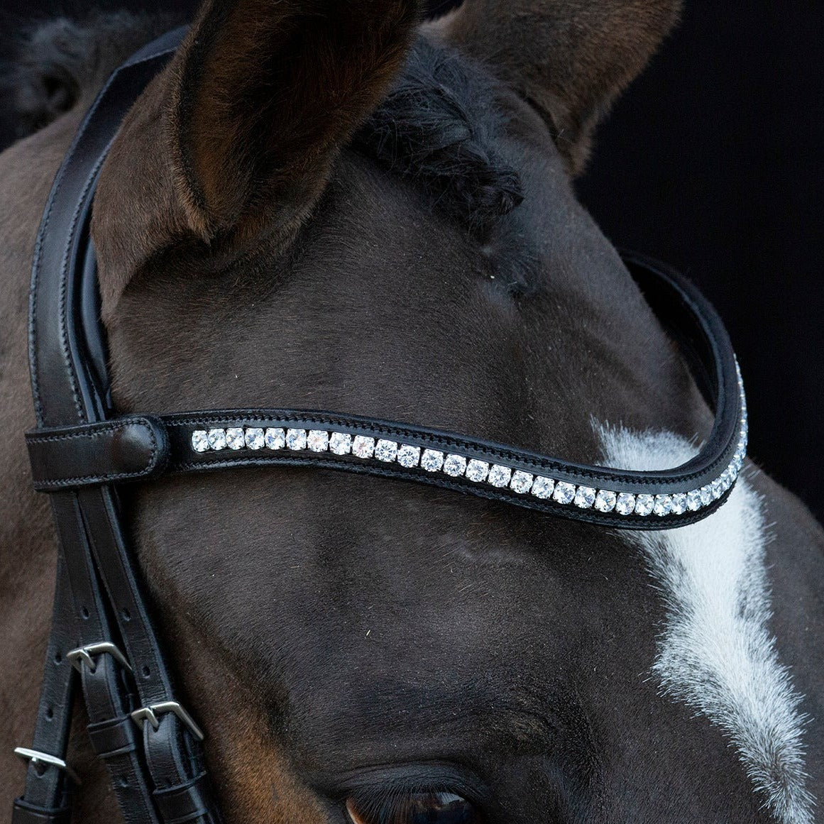 Schockemohle Charleston Bridle