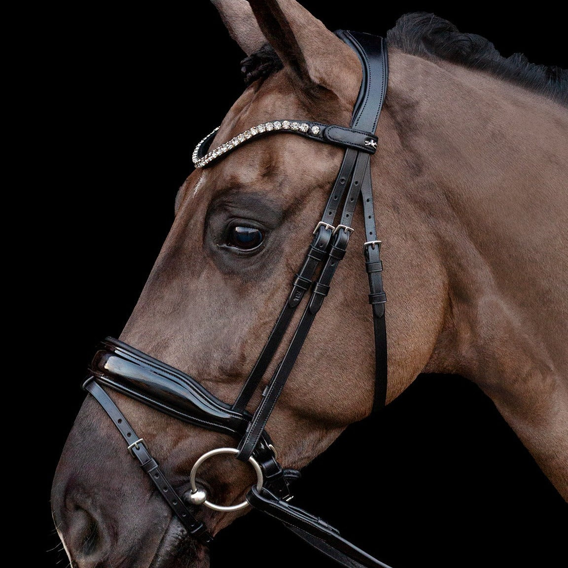 Schockemohle Siena Bridle