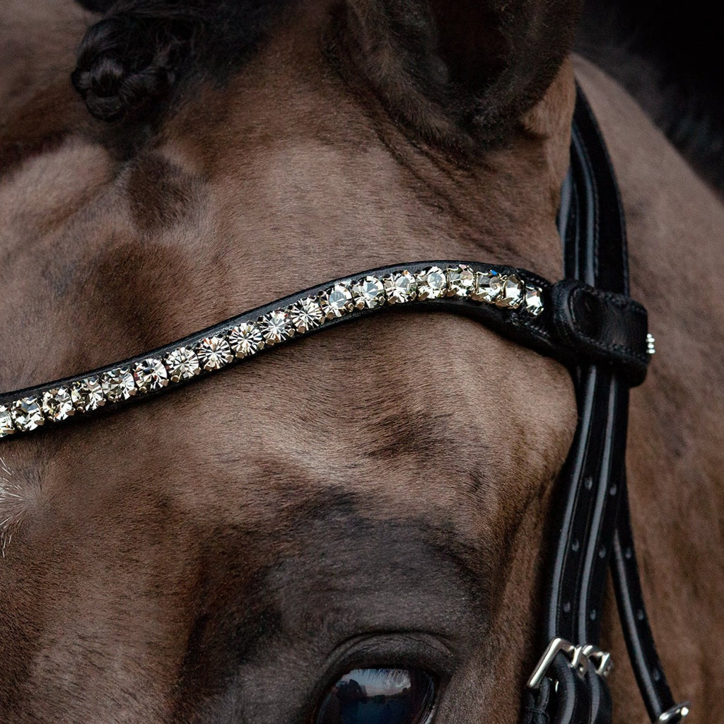 Schockemohle Siena Bridle