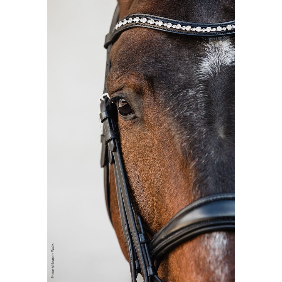 Schockemohle Milton Double Bridle