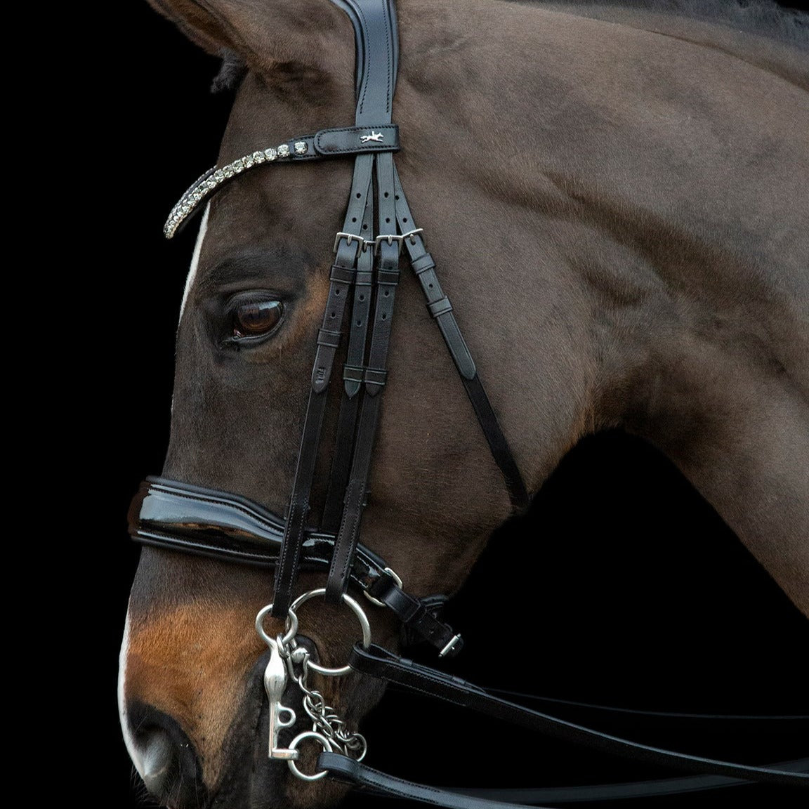 Schockemohle Milazzo Bridle