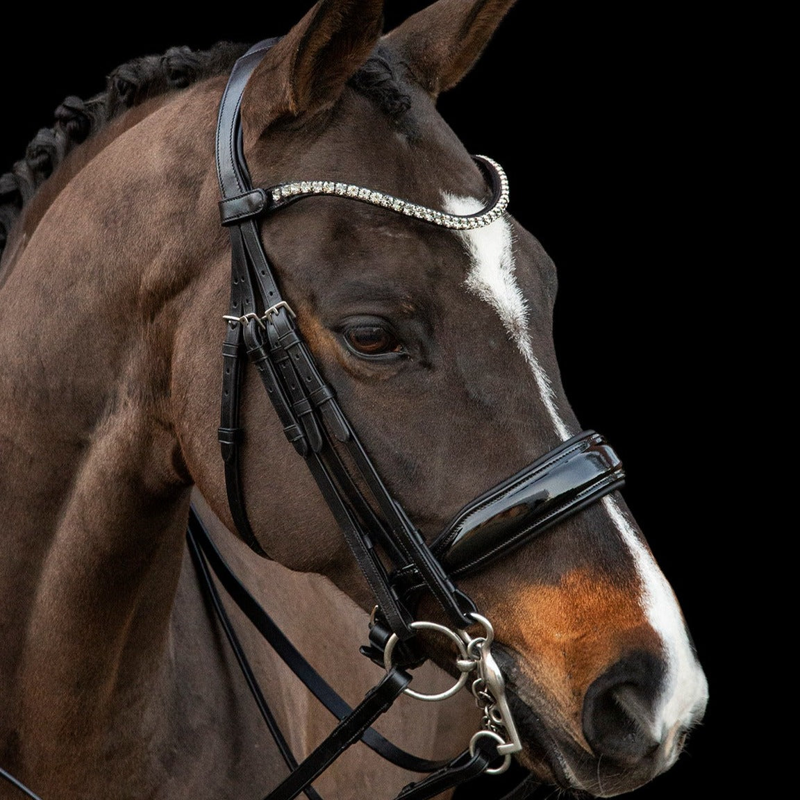 Schockemohle Milazzo Bridle