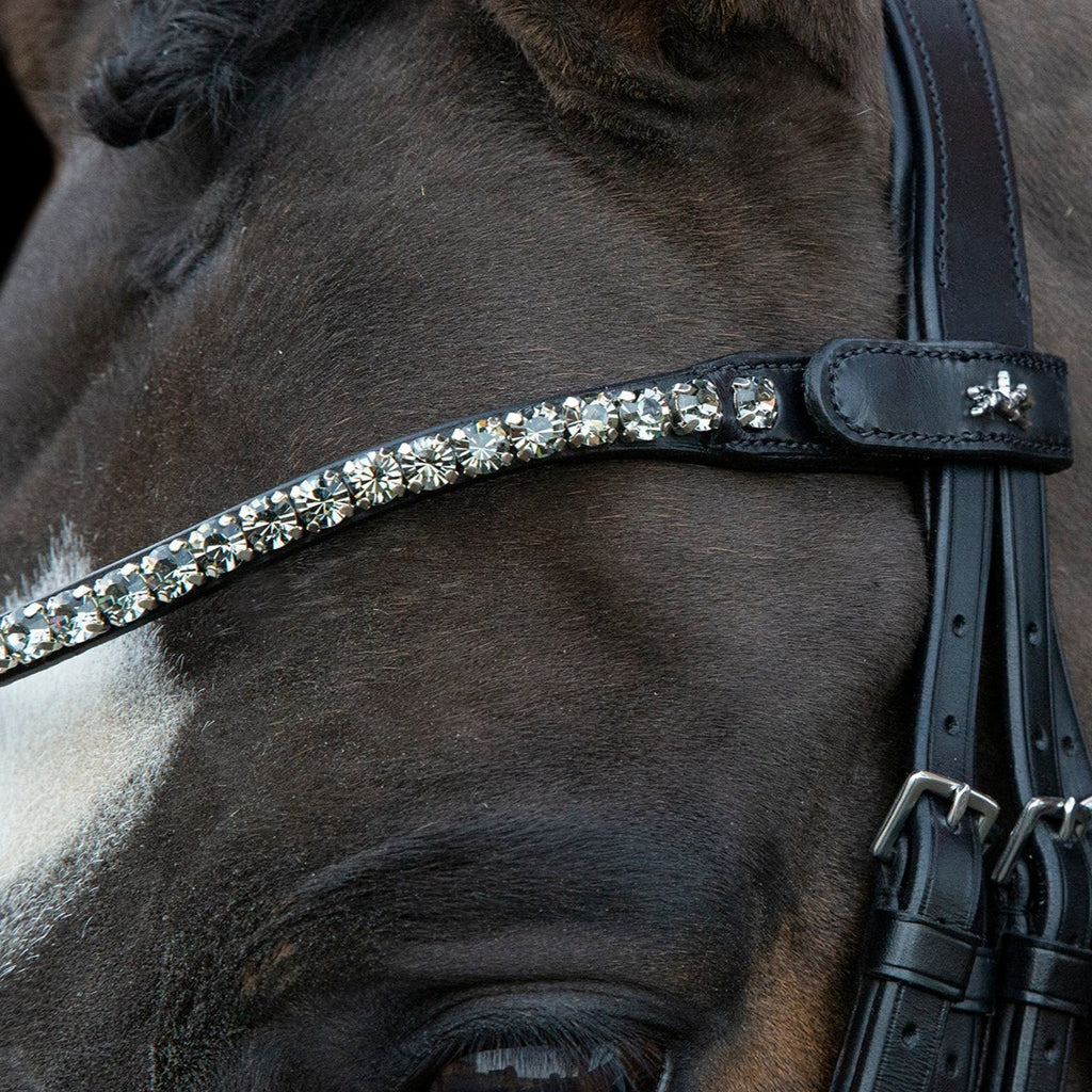 Schockemohle Milazzo Bridle