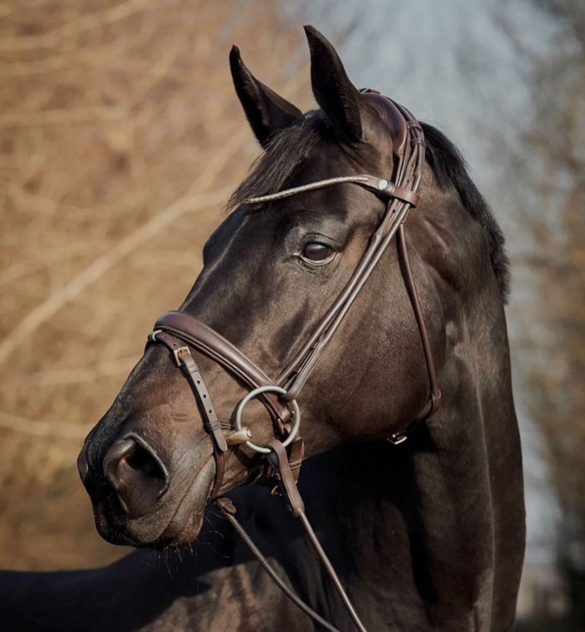 Finesse Himalaya Snaffle Bridle NEW