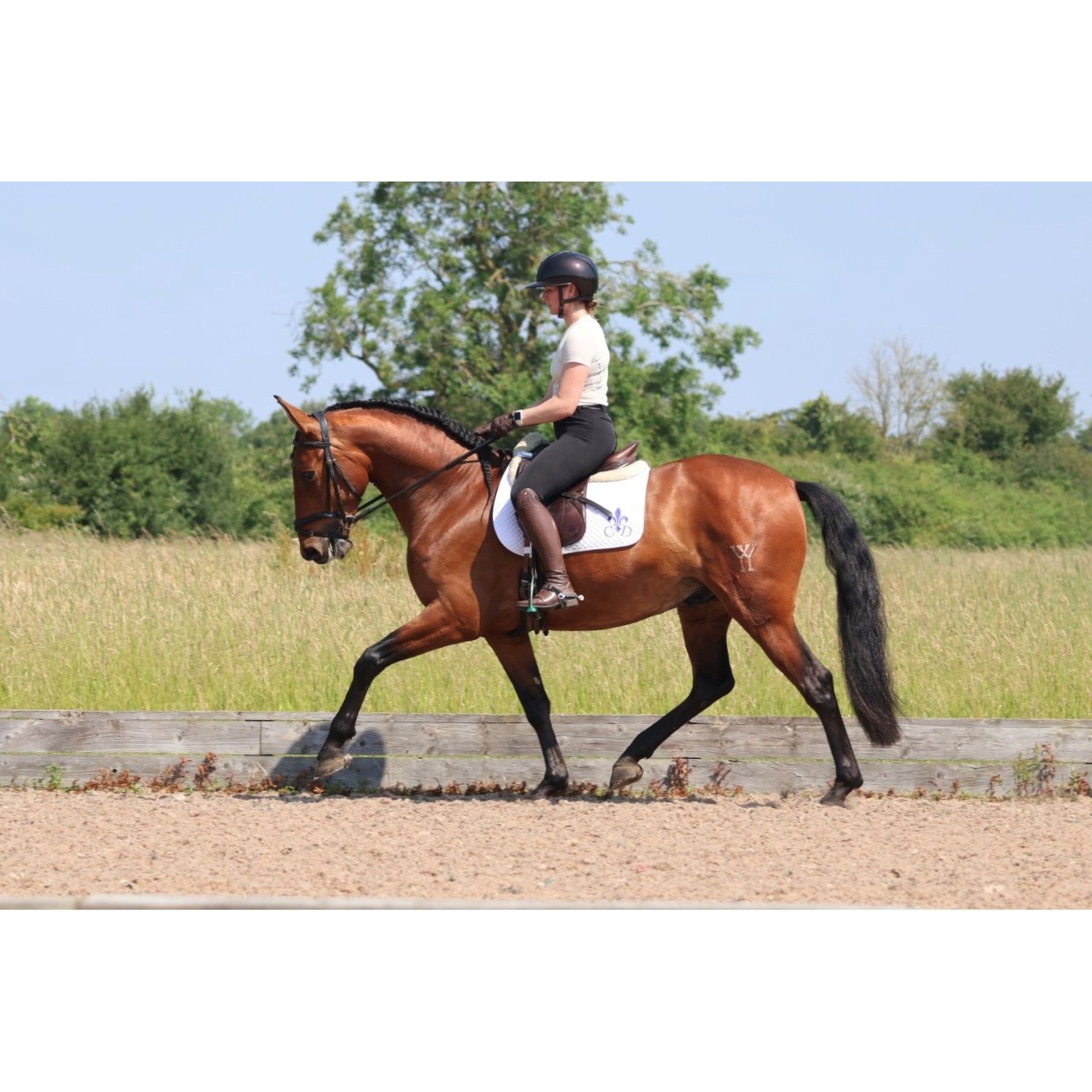 4yo PRE Gelding - SOLD