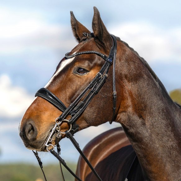 Passier NEW Moonlight Double Bridle - including reins