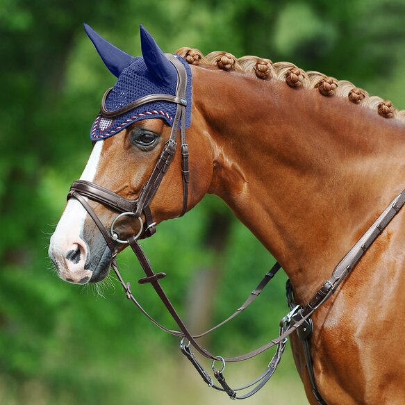 Passier Marcus Ehning II Snaffle Bridle - with rubber reins