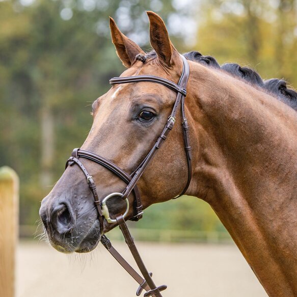 Passier Fly High Snaffle NEW