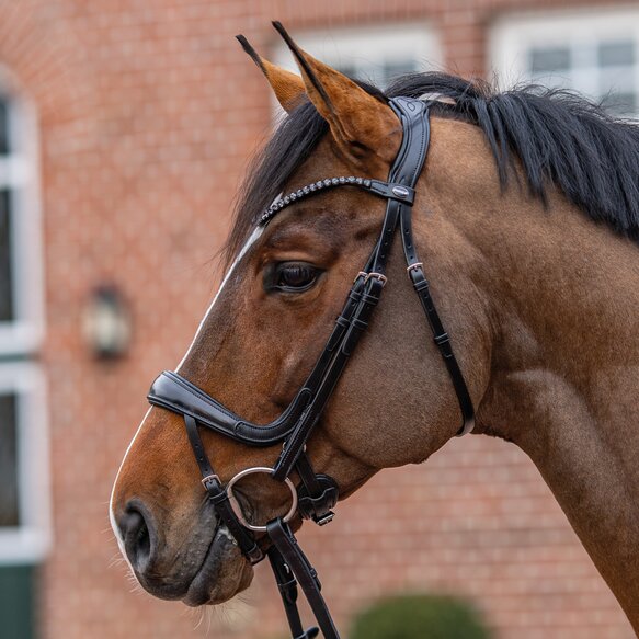 Passier Move Snaffle NEW - NO crank noseband