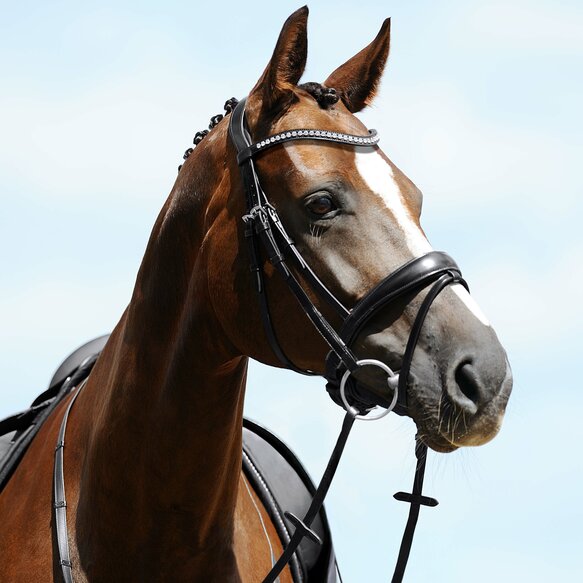 Passier Atlas Snaffle Bridle 820