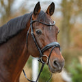 Passier Noblesse Snaffle NEW - Black - NO crank noseband