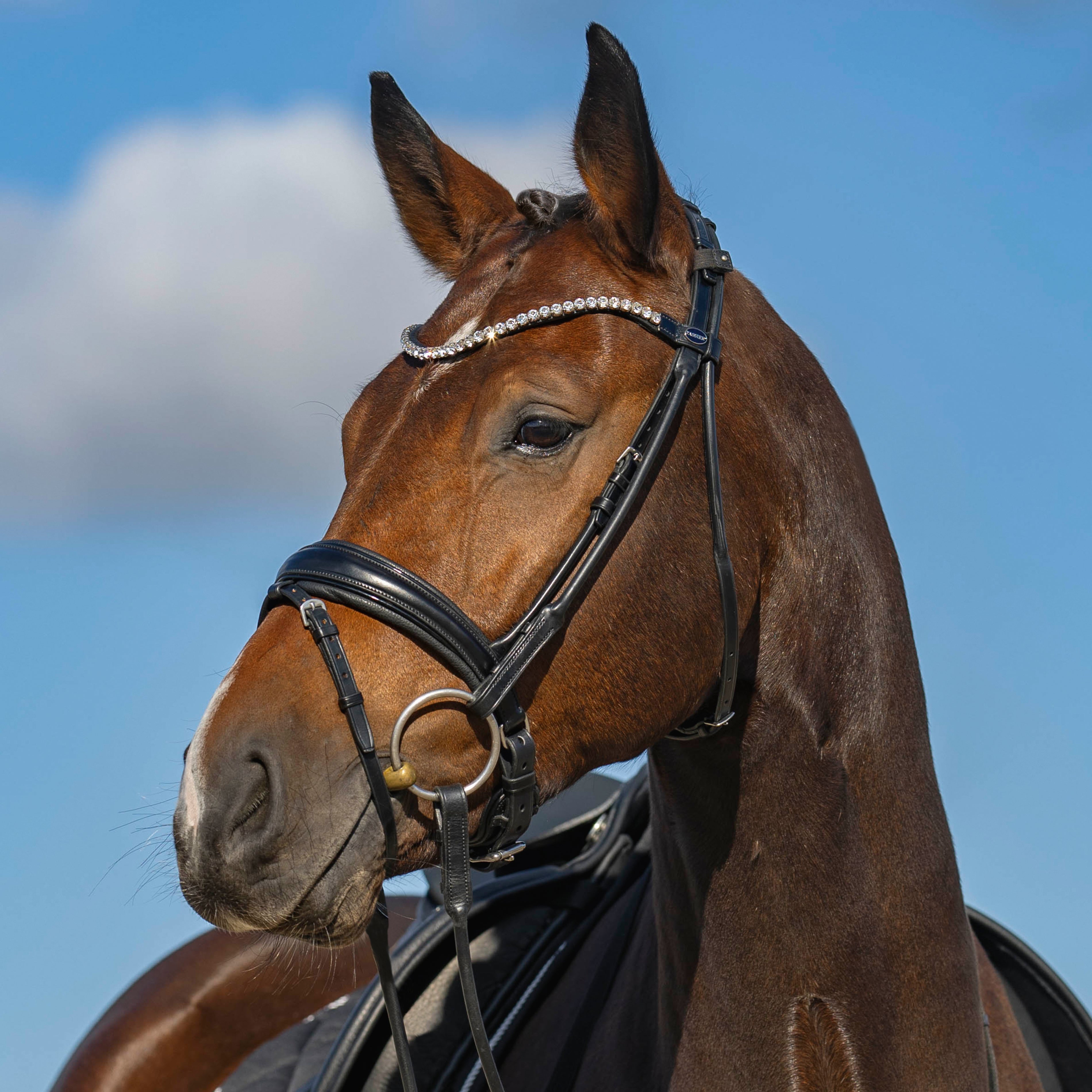 Passier NEW Harmony Rolled Snaffle Bridle - with webbing reins