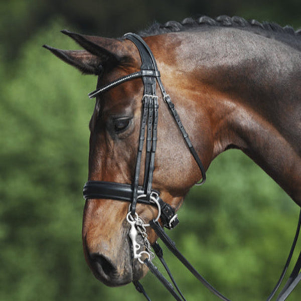 Passier Fortuna Double Bridle - ON SALE