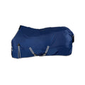 840D ripstop waterproof turnout rug 400g