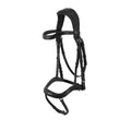 Allegoria anatomic bridle