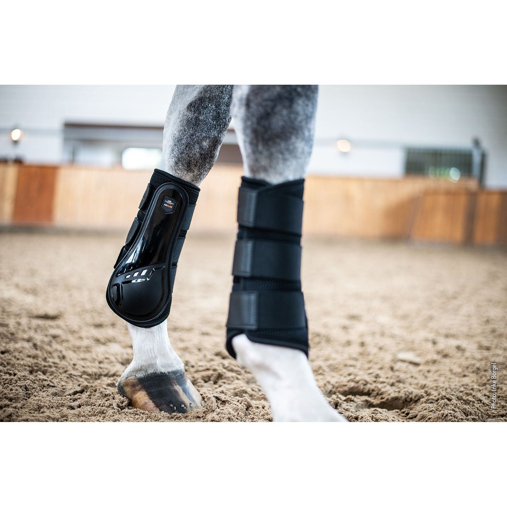 Schockemohle Air Flow Training Boots- due next week