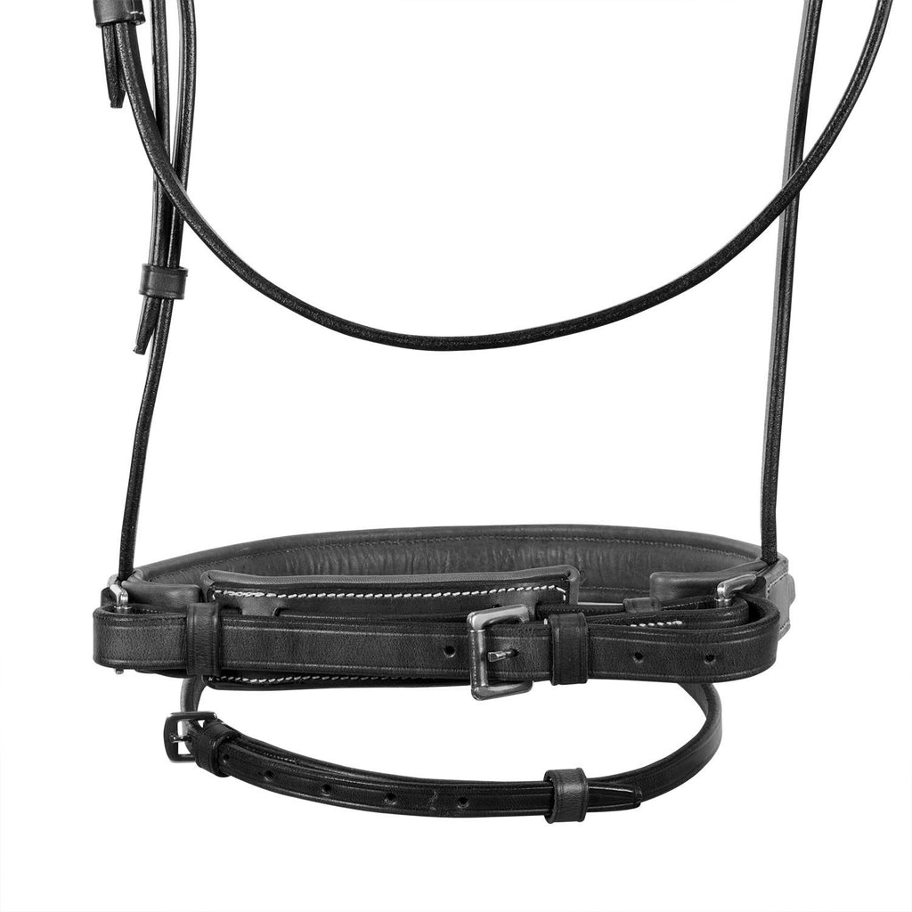 SILVER MODEL BRIDLE