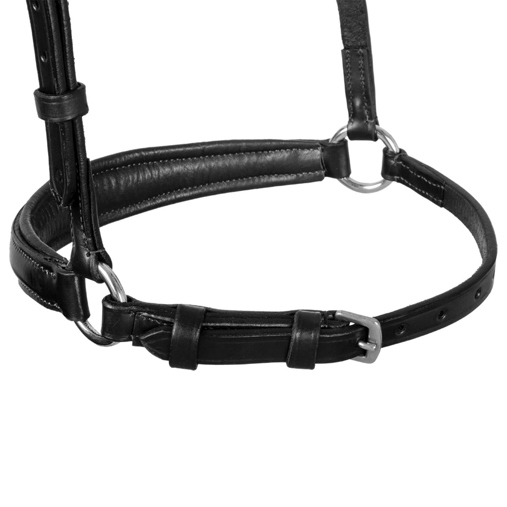 Leather German style noseband bridle