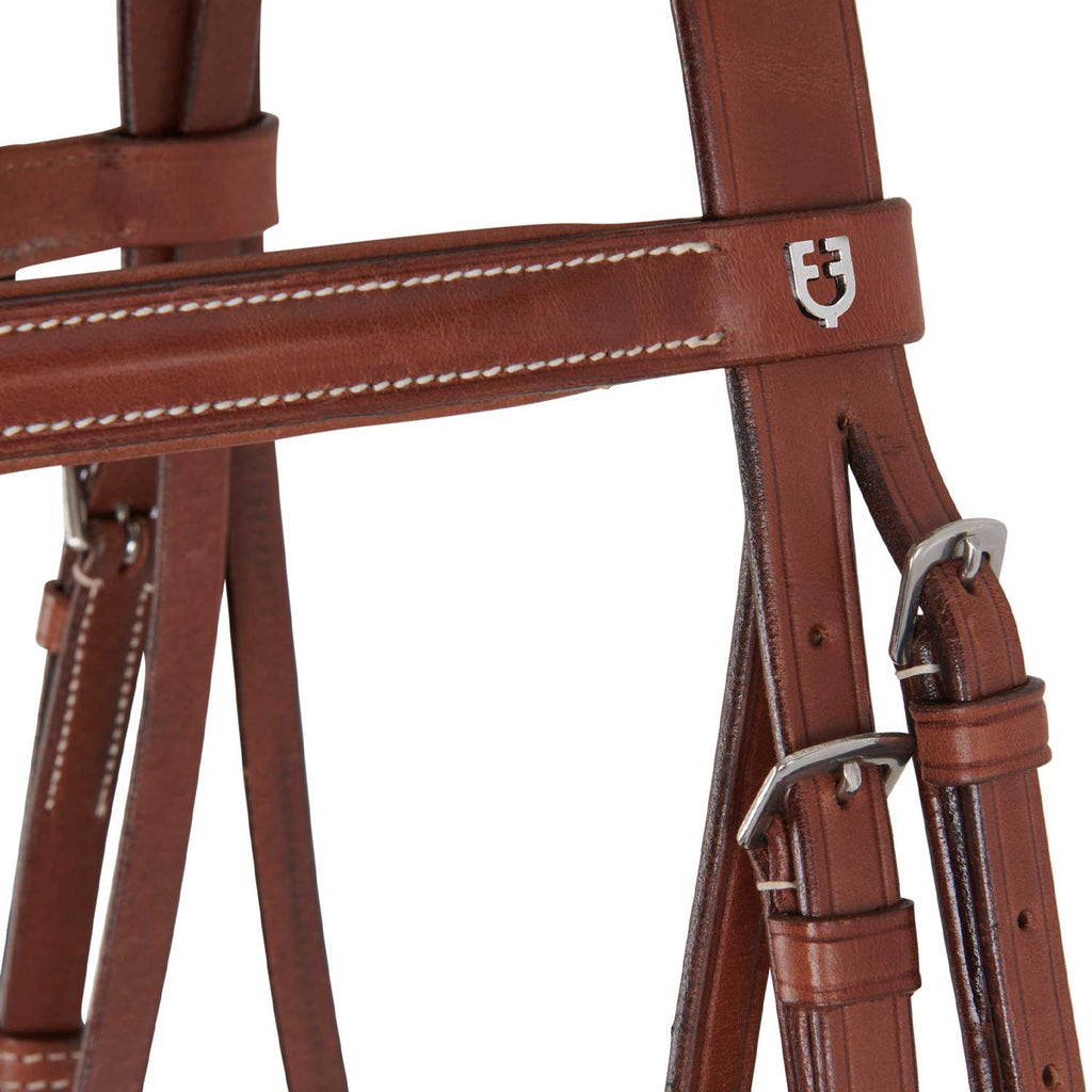 Leather English bridle with embroideries
