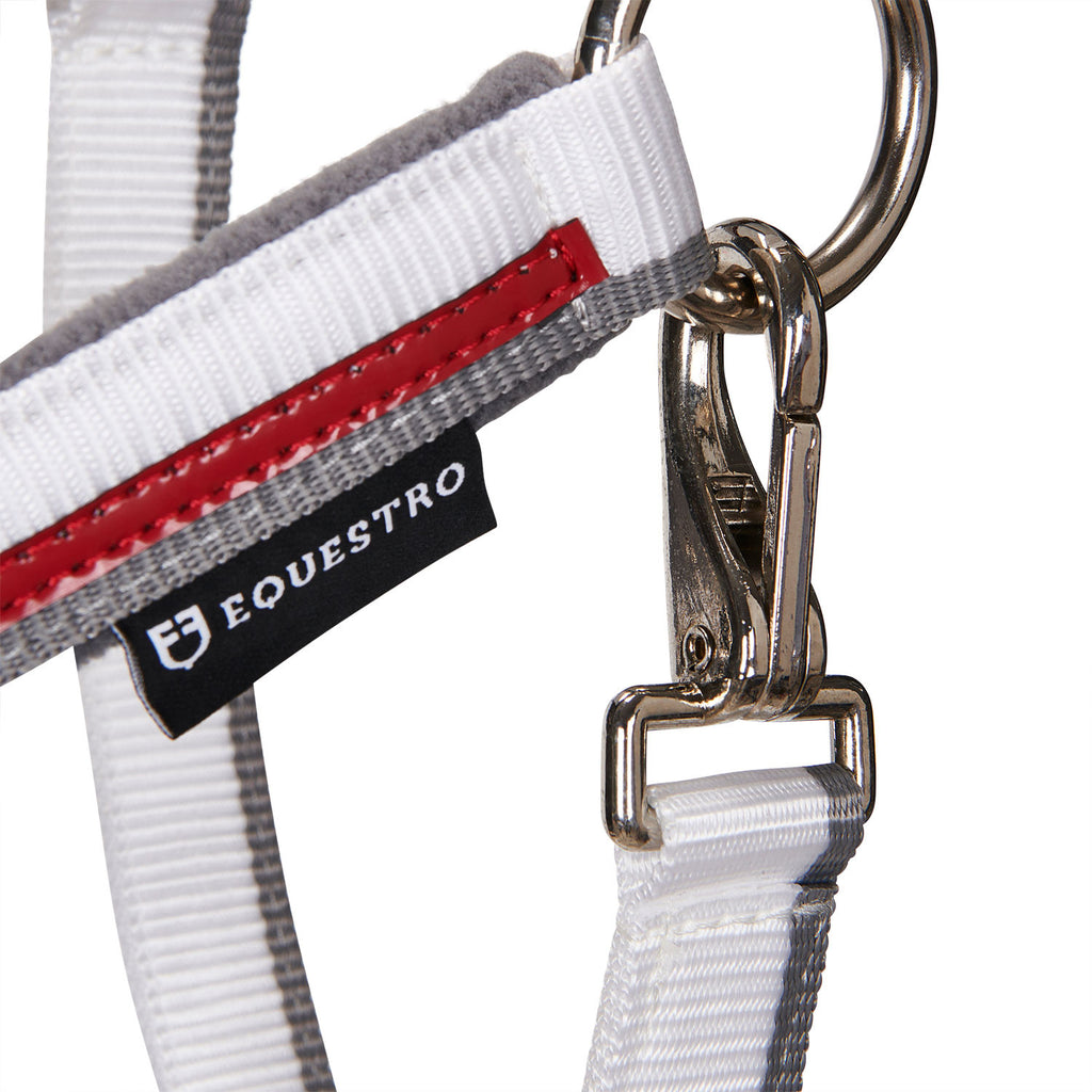 Double adjustment halter