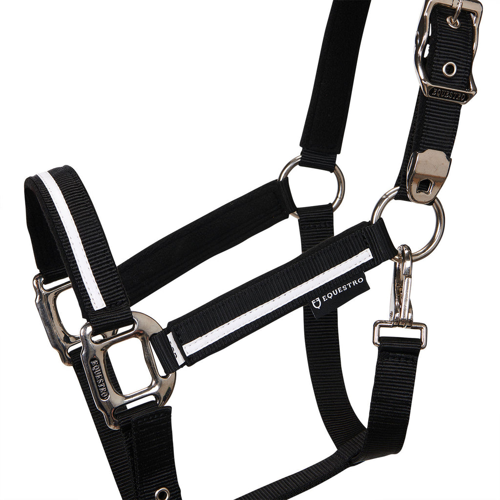 Halter with fleece padding and snap hook
