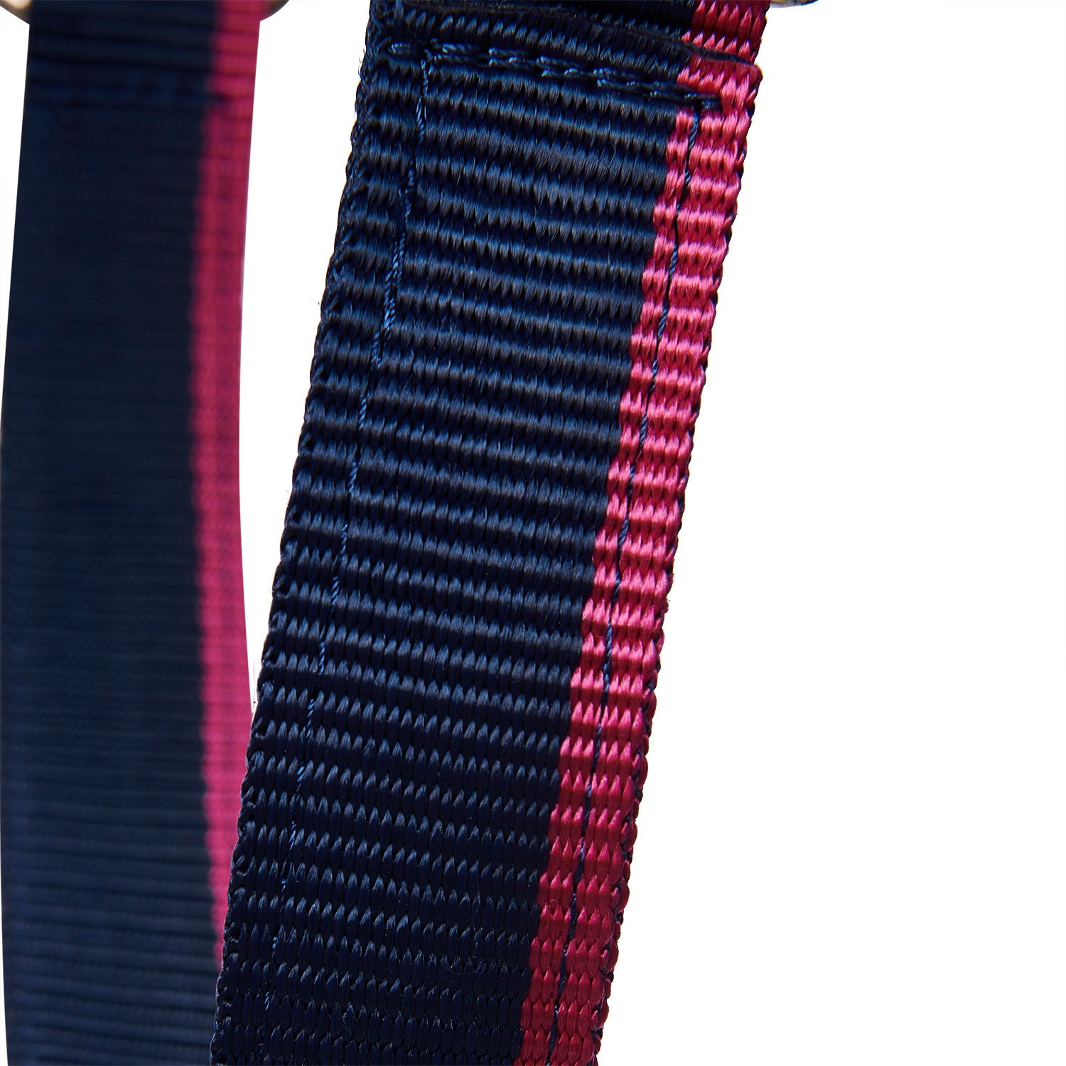 Halter with fleece padding and snap hook