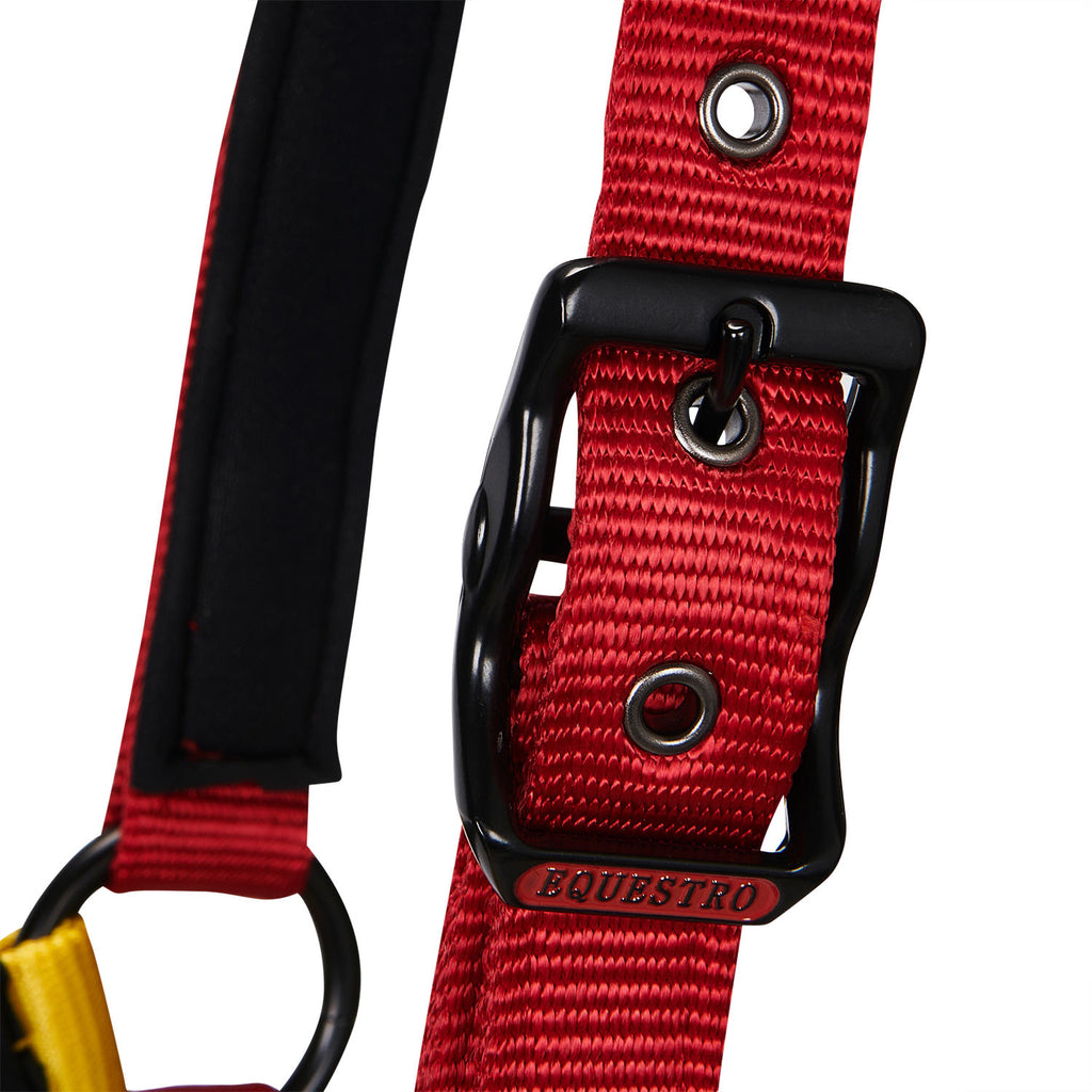 Nylon halter with snap hook