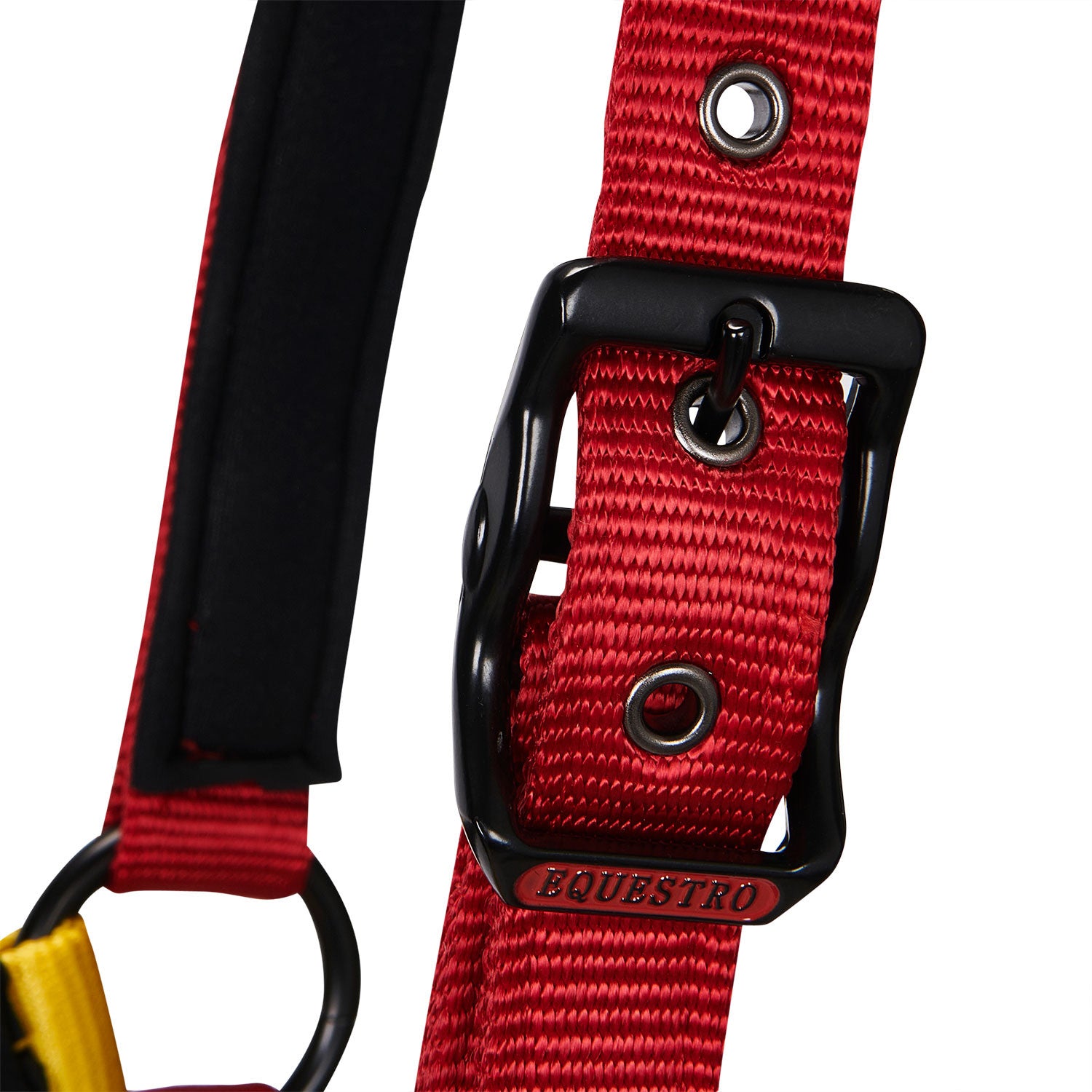 Nylon halter with snap hook