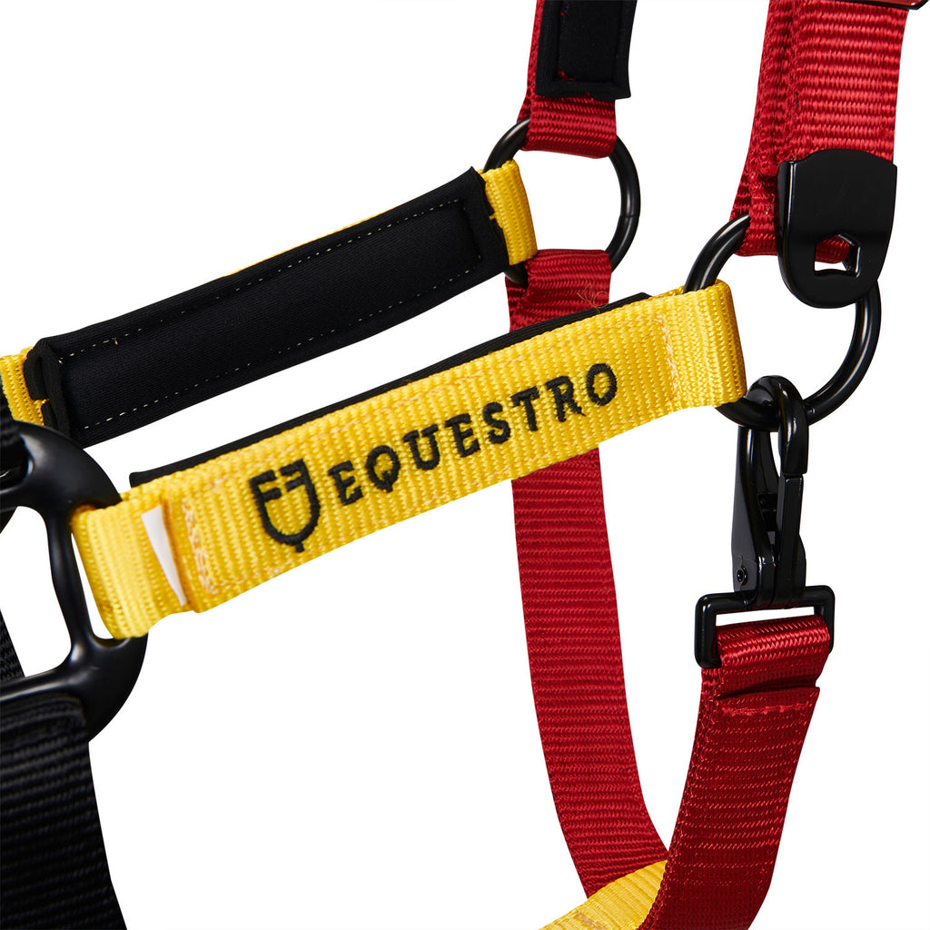 Nylon halter with snap hook