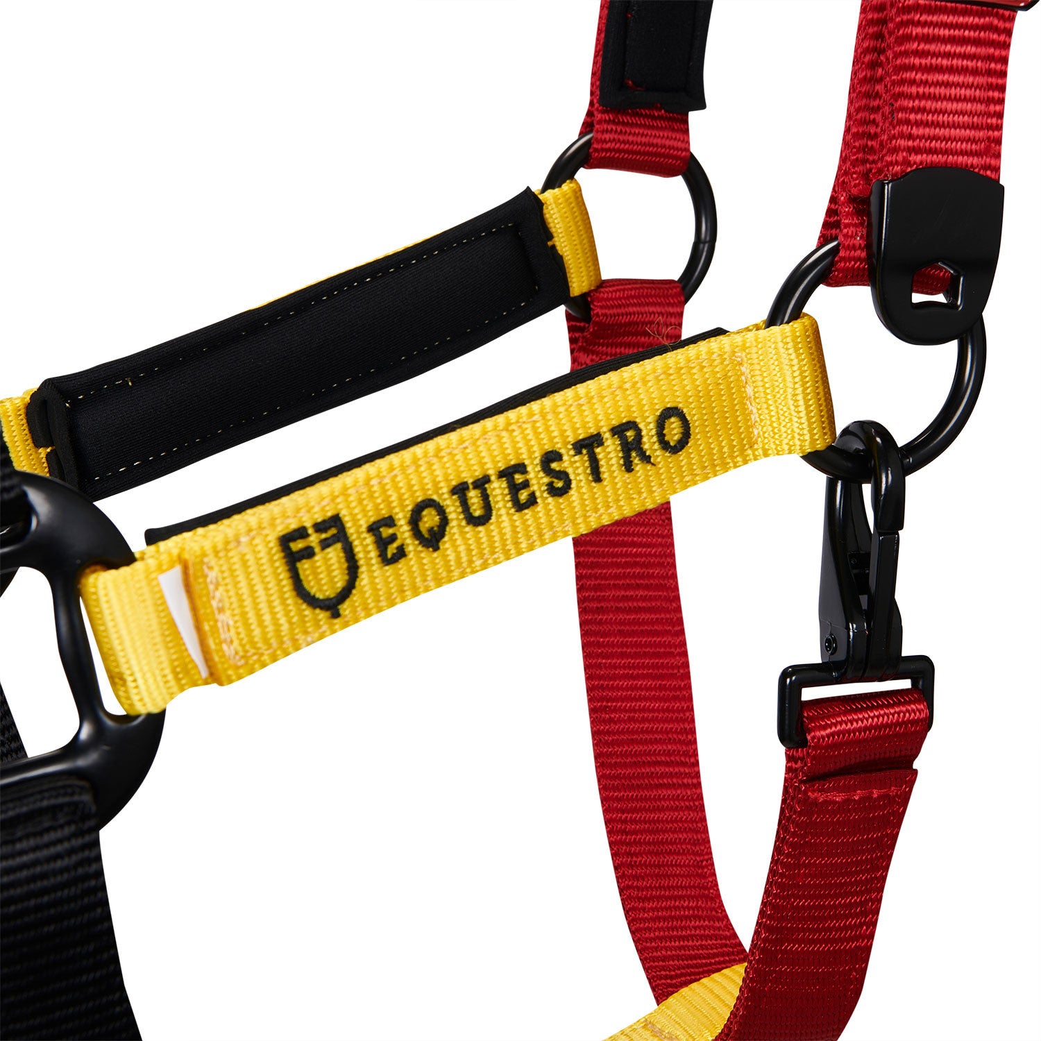 Nylon halter with snap hook