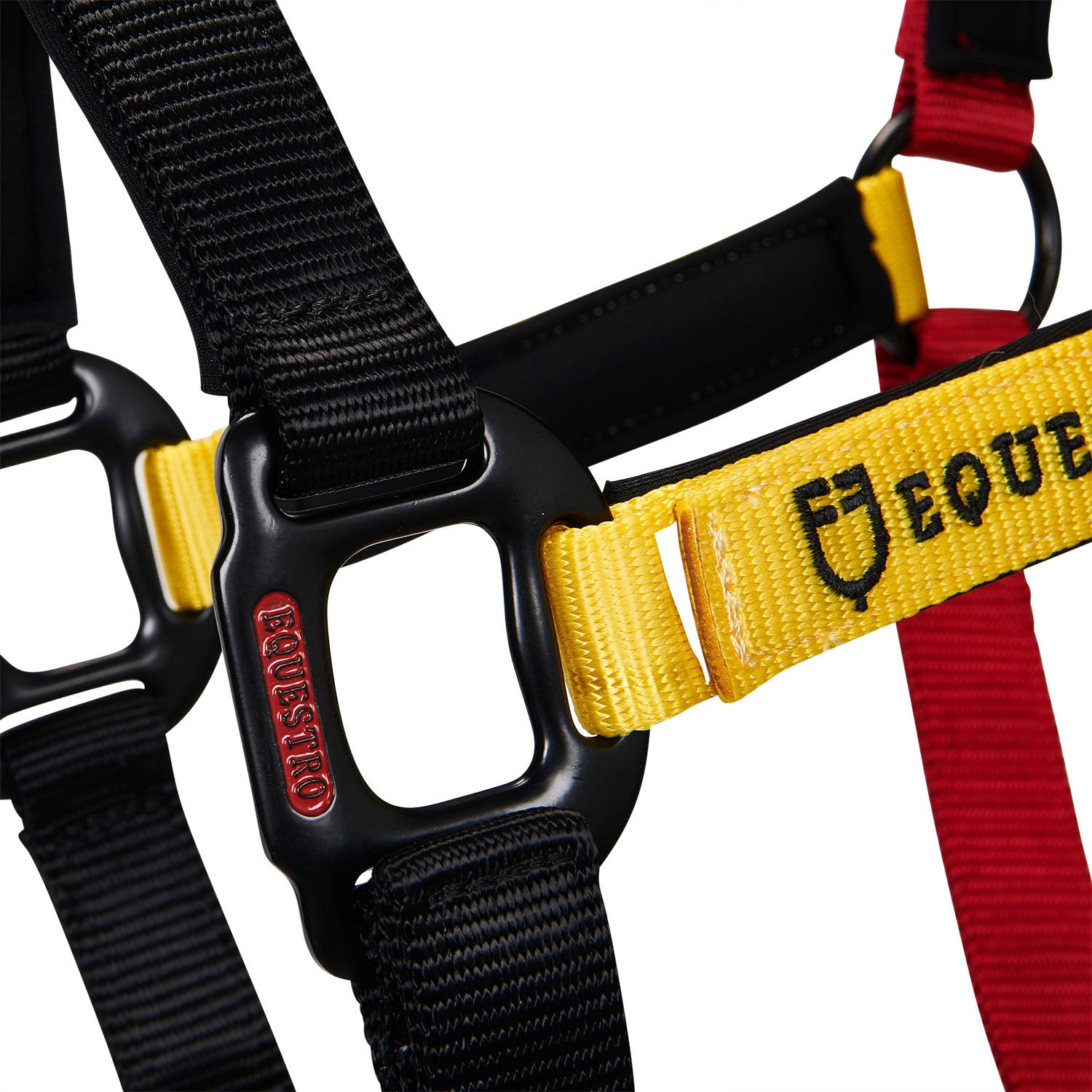 Nylon halter with snap hook