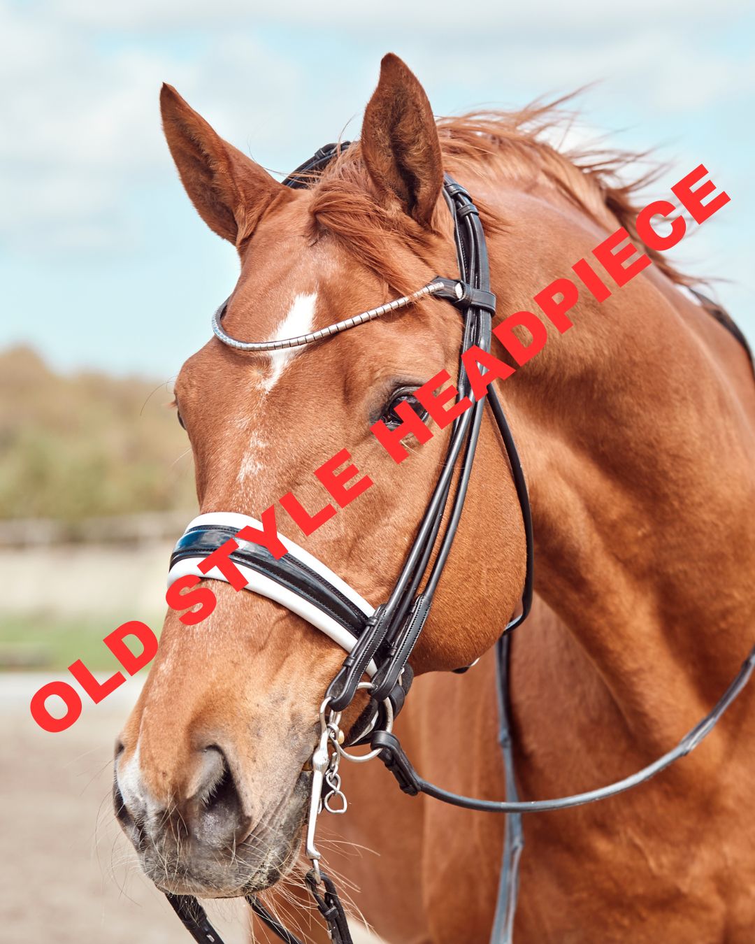 Finesse Cassidy Double Bridle