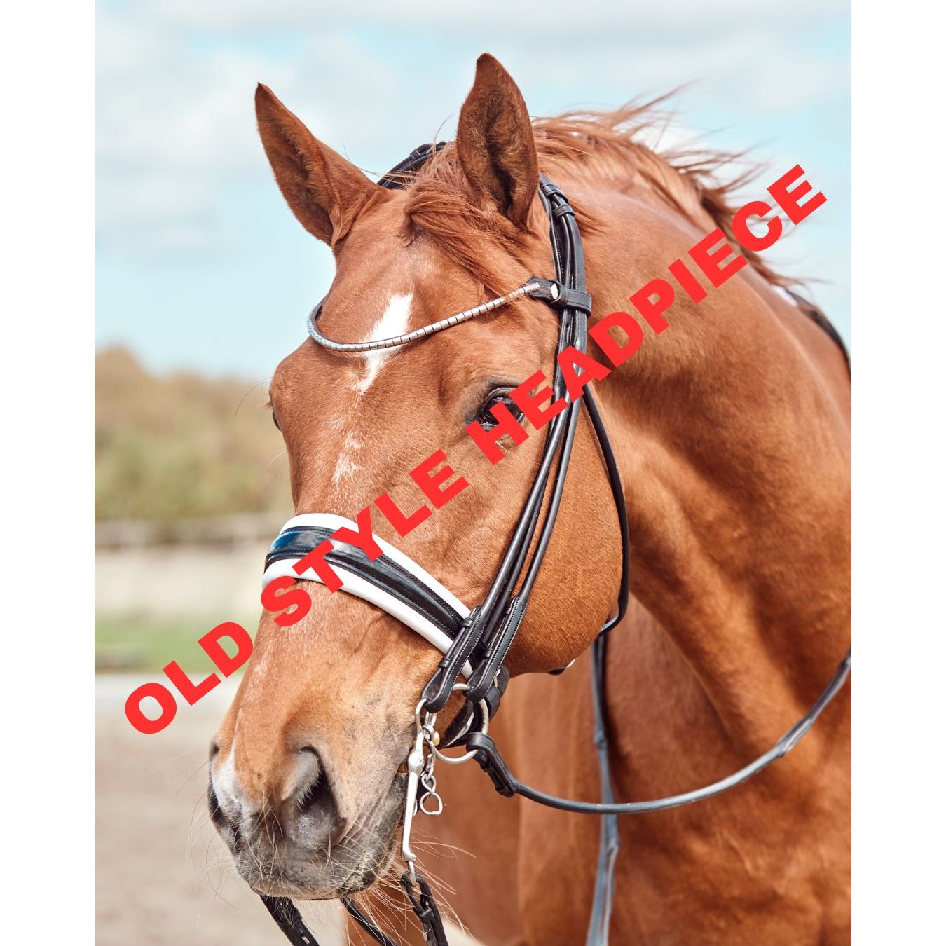 Finesse 1.0 Cassidy Double Bridle