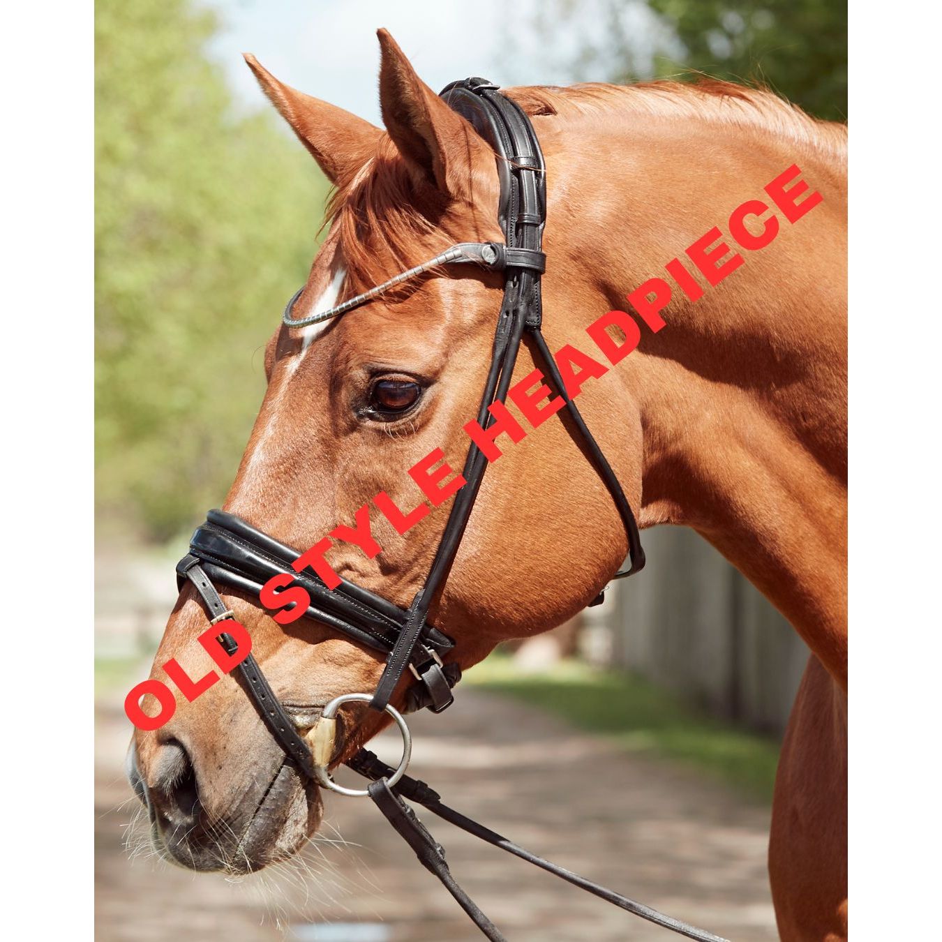 finesse – Classic Dressage Collection