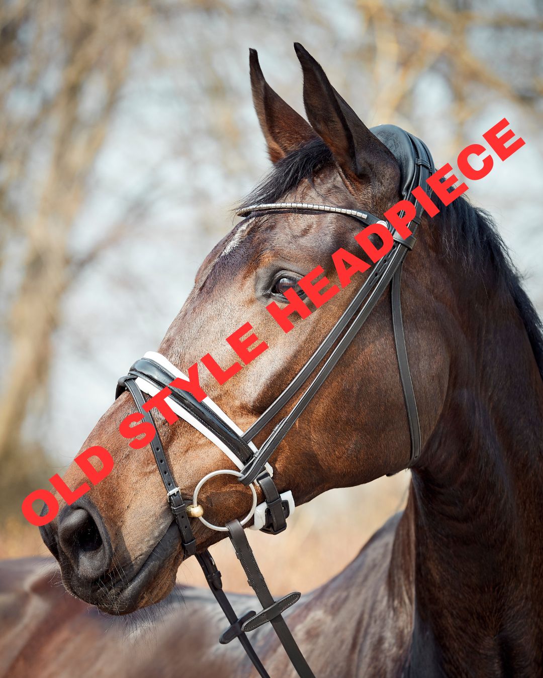Finesse Cayenne Snaffle Bridle