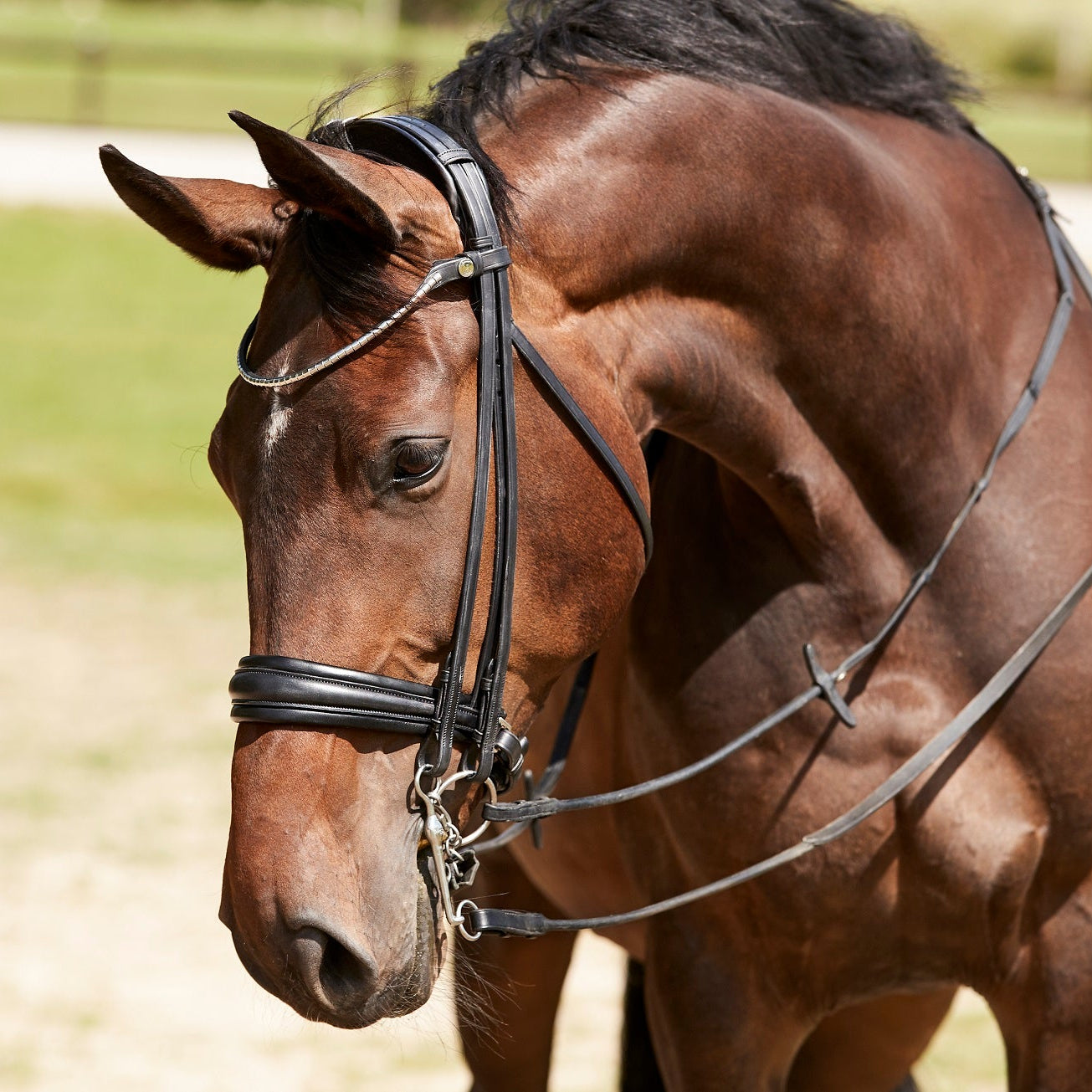 Finesse Cayenne Double Bridle NEW