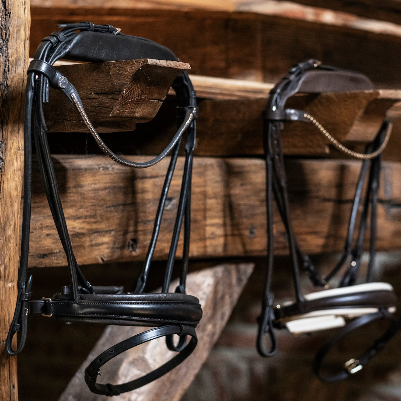 finesse – Classic Dressage Collection finesse – Classic Dressage Collection