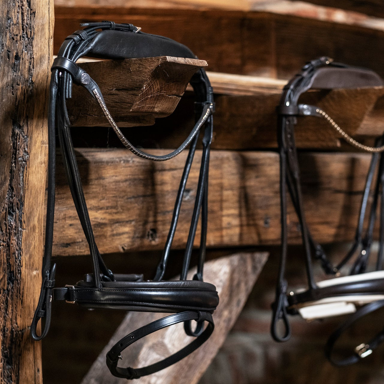 Finesse 1.0 Cassidy Snaffle Headpiece ONLY