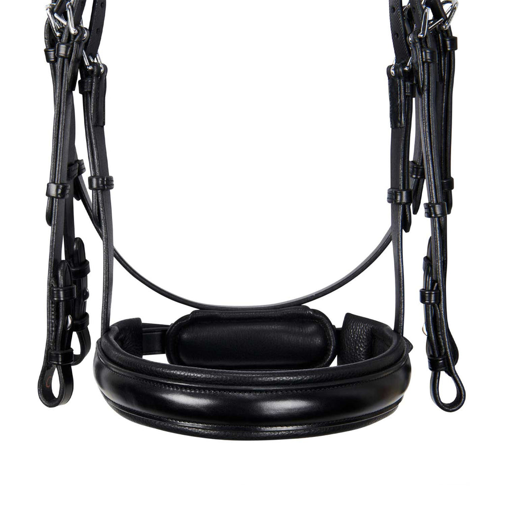 Leather dressage bridle without reins