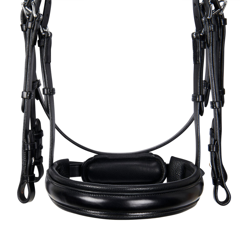 Leather dressage bridle without reins